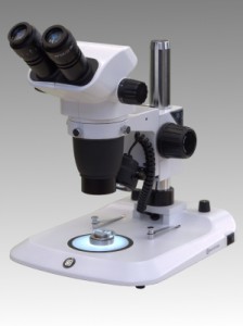 Drawing Die Zoom Stereo Microscope